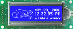 GLK12232-25-SM-WB Display Module GLK12232-25-SM-WB Display Module